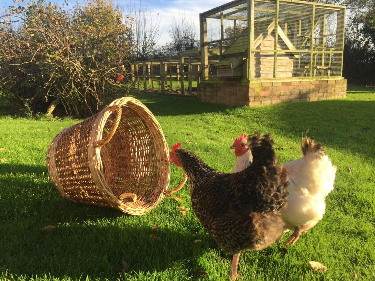 렉섬 Little Pentre Barn With Cosy Logburner 빌라 외부 사진